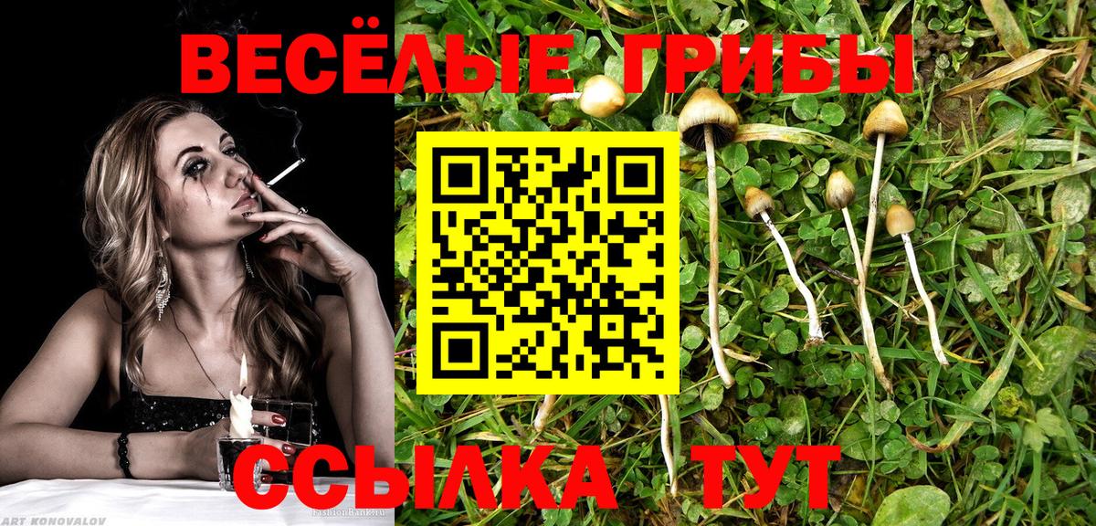Псилоцибиновые грибы Psilocybine cubensis  Вход с VPN  Туапсе 